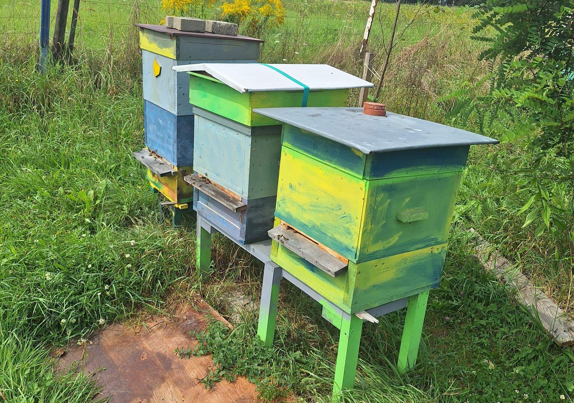 pasieka galanty tradycyjne ule